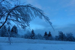 Schnee-Kunstwerke am Frognerseteren
