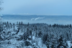 Blick über den Winterwald auf die Vororte von Oslo