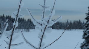 Schnee-Kunstwerke  vor dem Oslofjord