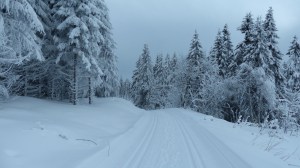 Langlauf (Langren) Loipe perfekt gespurt