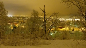 Winterwonderland Oslo bei Nacht