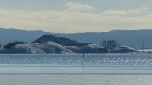 Winter im Oslofjord mit weißen Inselchen