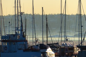 Blick in die Ferne (Nesodden am Horizont)