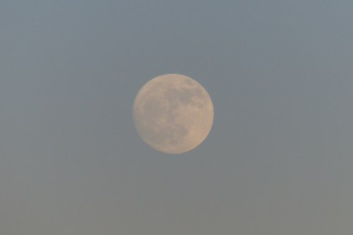 ... und in Reinform ... Faszinierend!