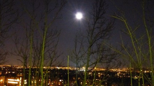 Und zum Abschluss: Oslo bei Vollmond-Nacht... auf dem Heimweg von der T-Bane-Station Montebello