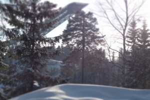 Hier kommt der Miniatureffekt sehr gut heraus. Die Bäume sehen aus wie Spielzeug.