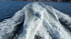 Die Fähre hat ordentlich Power