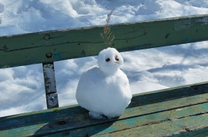 Der letzte Schneemann (?) - hoffentlich (zumindest für die nächsten 8 Monate