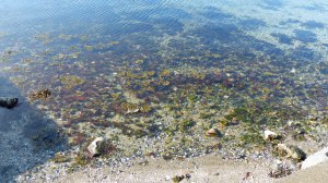 Und natürlich Meer...