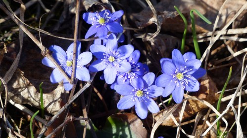 ... und noch mehr davon.