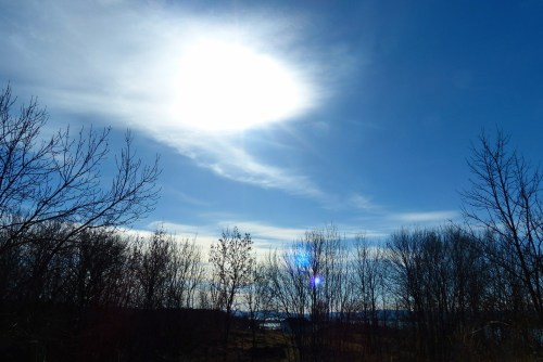 Frühlingssonne über Hovedøya