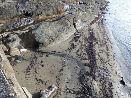 Schmelzendes Süßwasser füllt den Fjord wieder auf.