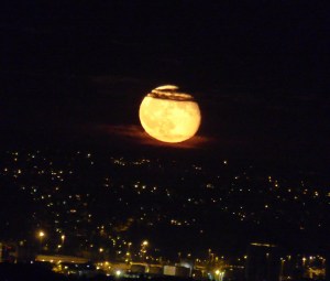 .... aufgegangen, die goldnen Sternlein prangen.......