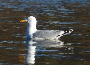 Ätsch, von mir gibt's ein Portraitfoto.