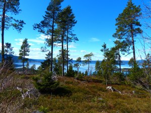 Traumhafte Wælder bei schønstem Fruehlingswetter!