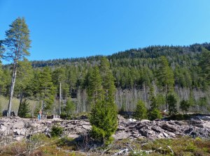 Die E16 ist hier an den Berg gebaut.