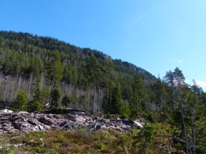 Die Norwegische Infrastruktur hat sich massiv verbessert, seit das Øl (diesmal ist nicht das Bier gemeint) vor der Kueste sprudelt.