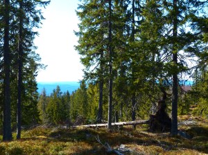 Hinter mir steht eine Ferienhuette mit diesem Ausblick