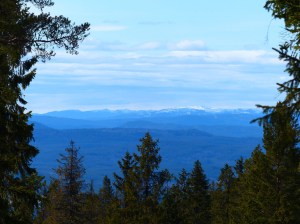 Gleicher Blick mit dem Tele herangeholt