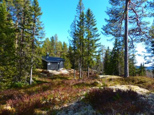 Und das Ferienhaus dazu - DAS WILL ICH HABEN!!!!!!!! :-)