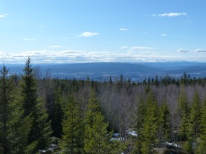 Traumhafte Aussicht!