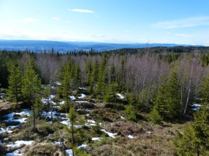 Die letzten Reste des Winters