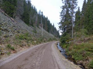 Die Wege sind in gutem Zustand