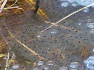 Noch ist nix zu erkennen...