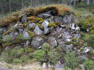Erste Pflanzen auf erodiertem Fels: Moose und Flechten