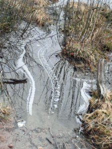 Schaummuster im Sognsvann Zufluss