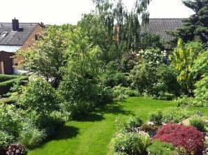 Garten Buchbrunn bei meinen Eltern