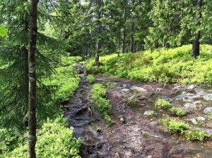 ... und schlechterer Teil 