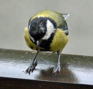 und die dazugehörigen ...