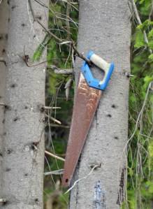 "Die Axt im Walde" ne, das ging anders. Die hier hat wohl ein Waldarbeiter vergessen...