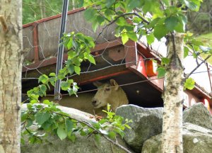 "Regen? - Ist mir doch egal!"
