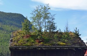 Beste Tarnung von oben!