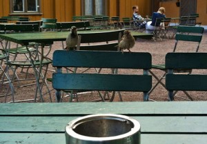 "Wann kriegen wir endlich mal was ab?" :-)