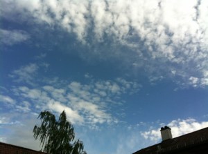 Endlich Sommer! und noch dazu Bayerischer Himmel...