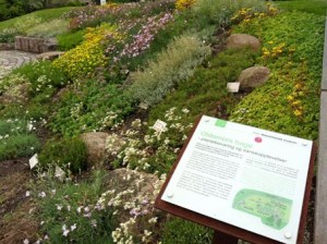 "Oldemors Hage" hat nix mit Harry Potter zu tun - nein es geht um Grossmutters Garten.
