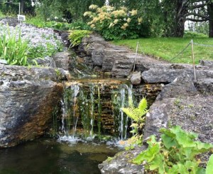 Bachlauf im Botanisk Hage.