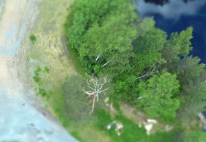 auf einigen der folgenden Bilder probierte ich den "Miniatureffekt" meiner Kamera aus. Direkt unterhalb des Sprungturms der großen Holmenkollen Schanze. PS: Oslo bewirbt sich um die Olympischen Winterspiele 2022 - *Freu*