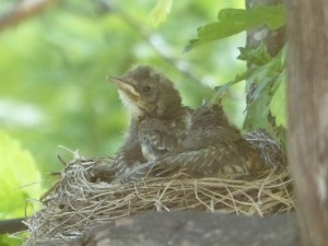 "Kommt noch was oder holt sie schon wieder Nachschub?"