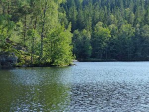 ... zu denen man am liebsten gleich hinschwimmen möchte...