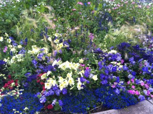 Als Gärtner muss ich sagen ...