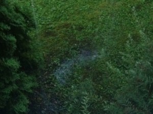 ... Brauchen man nicht in Oslo... Man kann doch die Rasenfläche vor dem Haus unter Wasser setzen! überhaupt: auch in der Stadt gehen die meisten Regenfallrohre auf den Gehweg und setzen den unter Wasser bzw. spülen die Gehwege sauber.  