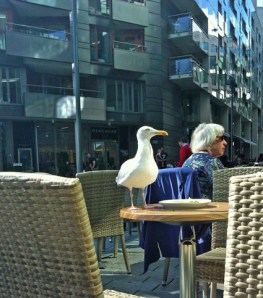 ... und grosse Nutzniesser der Zivilisation.