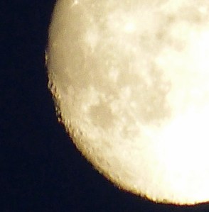 Detailaufnahme des Vollmondes: Die Krater sind sehr schön zu erkennen.