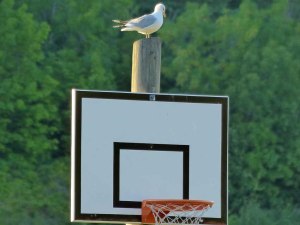 Auf was soll ich zielen??? ;-)