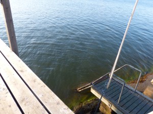 ... um die Sonne noch zu geniessen.