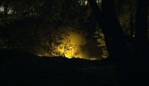 ... im Licht vieler Lichter...